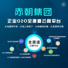 麗江軟件開(kāi)發(fā)外包服務(wù) 連接古韻與數(shù)字未來(lái)的橋梁